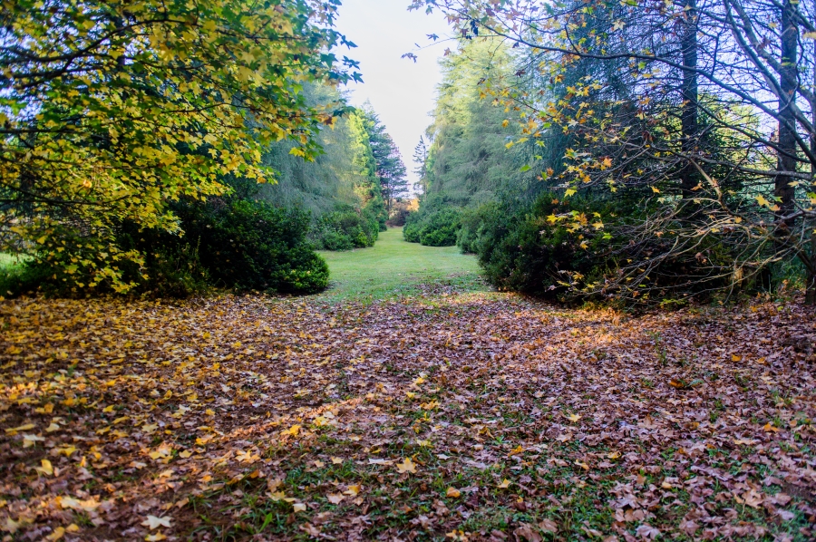 0 Bedroom Property for Sale in Nottingham Road KwaZulu-Natal