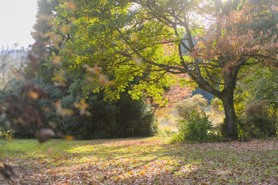 0 Bedroom Property for Sale in Nottingham Road KwaZulu-Natal