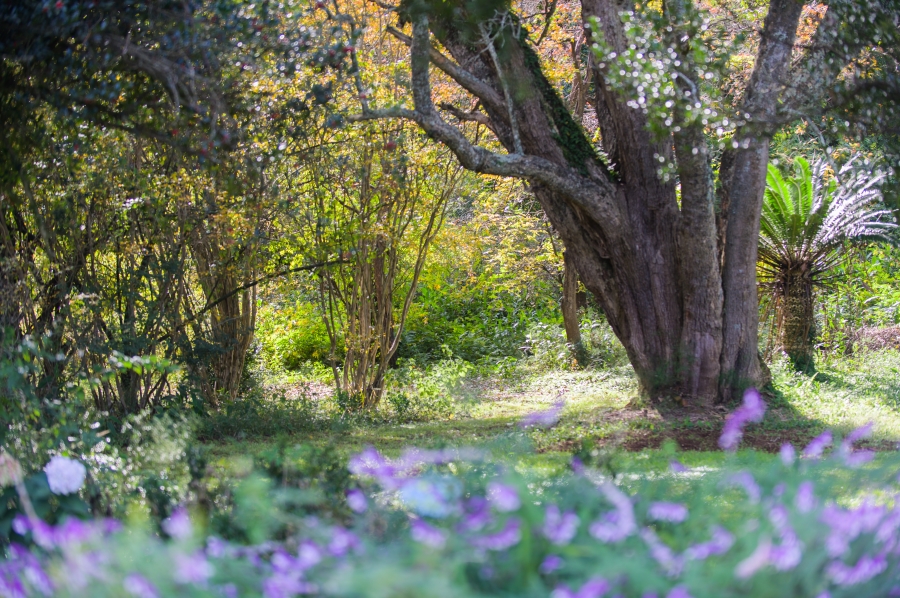 0 Bedroom Property for Sale in Nottingham Road KwaZulu-Natal