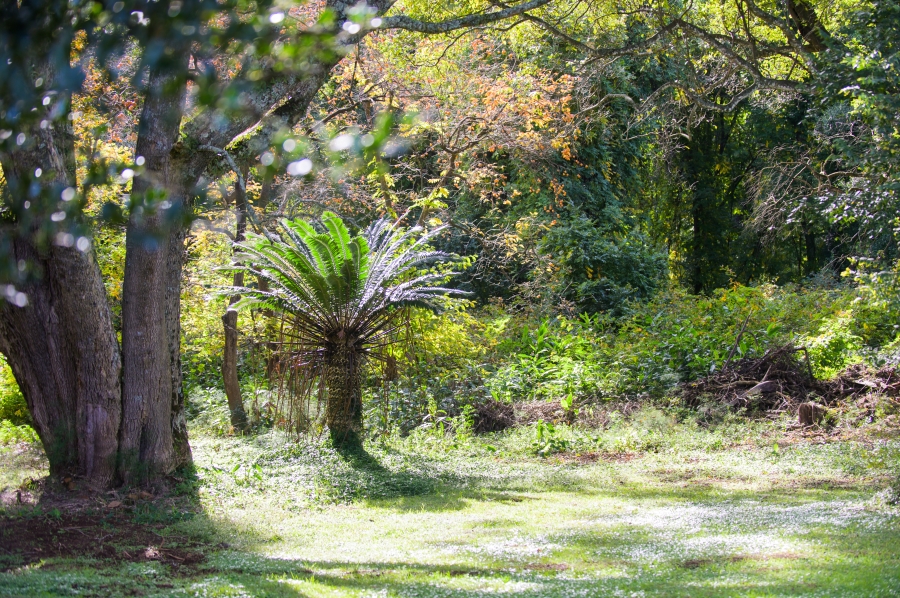 0 Bedroom Property for Sale in Nottingham Road KwaZulu-Natal