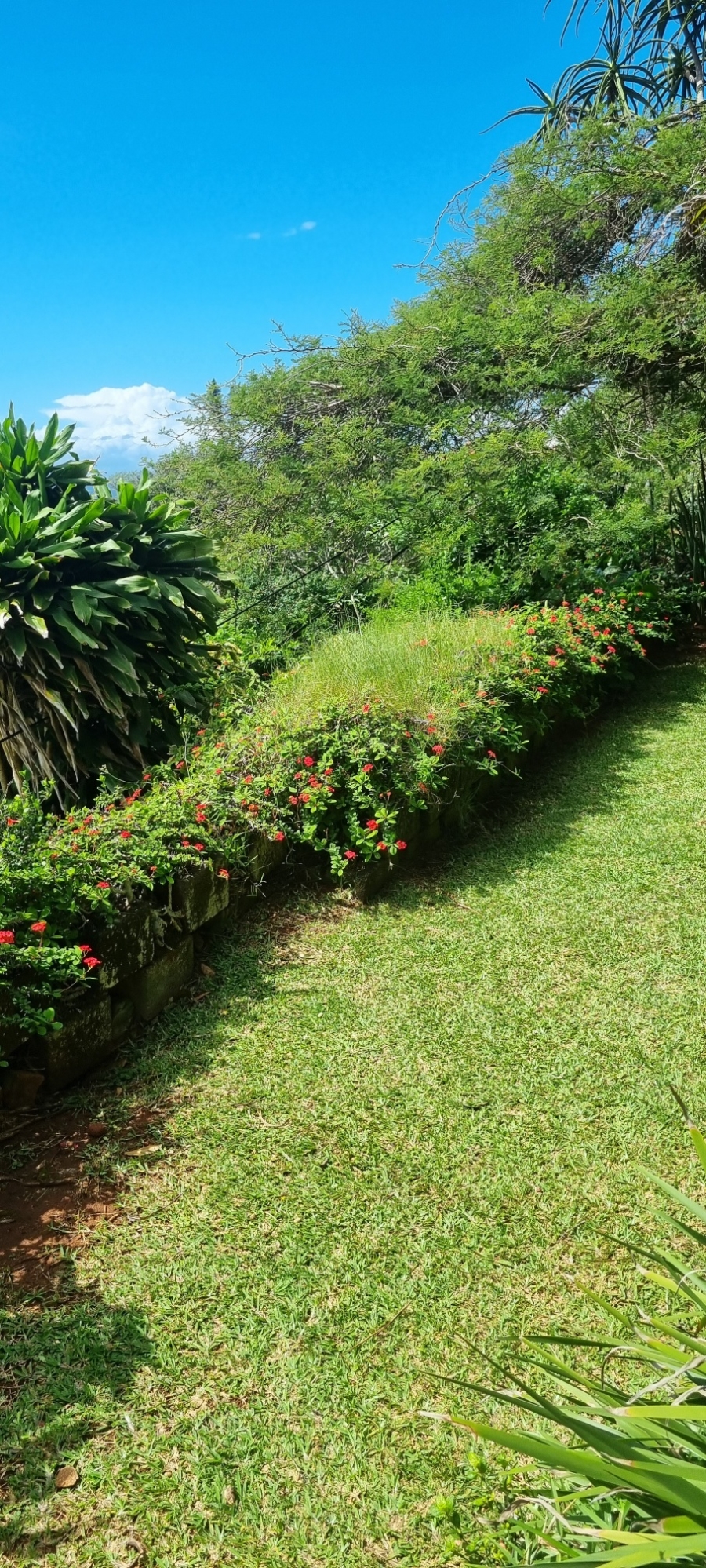 To Let 1 Bedroom Property for Rent in Durban North KwaZulu-Natal