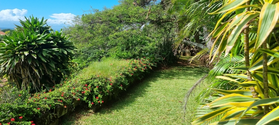 To Let 1 Bedroom Property for Rent in Durban North KwaZulu-Natal