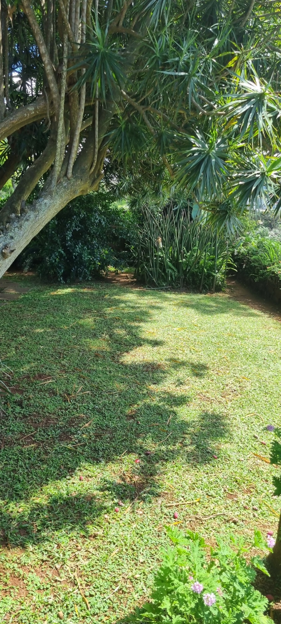 To Let 1 Bedroom Property for Rent in Durban North KwaZulu-Natal