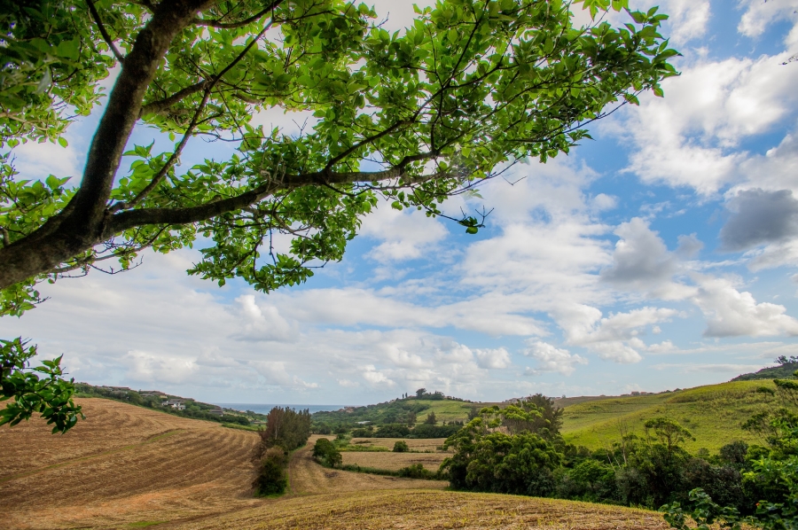 0 Bedroom Property for Sale in Zululami Coastal Estate KwaZulu-Natal