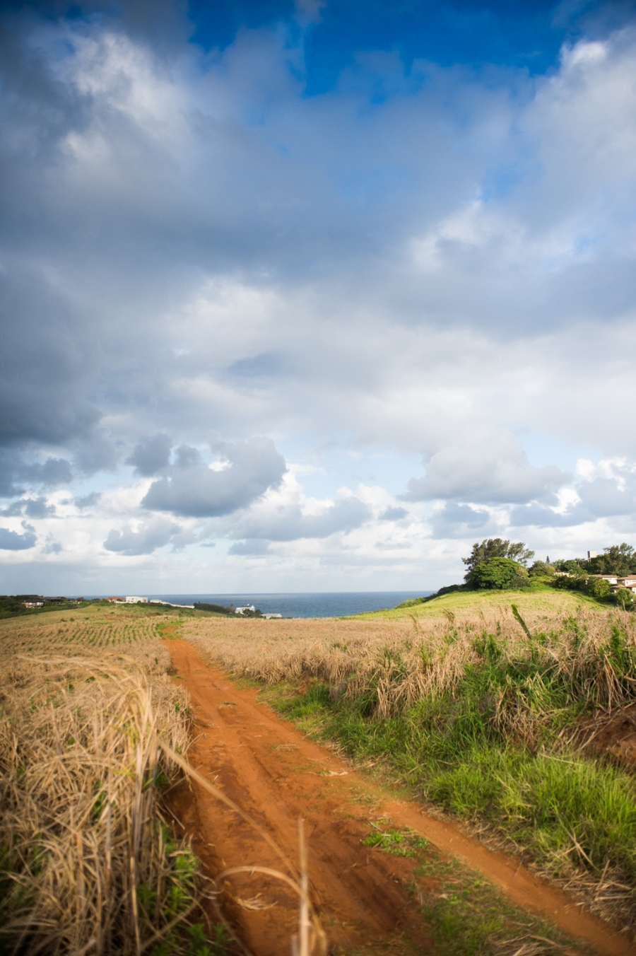 0 Bedroom Property for Sale in Zululami Coastal Estate KwaZulu-Natal