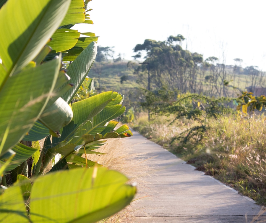 0 Bedroom Property for Sale in Zululami Coastal Estate KwaZulu-Natal