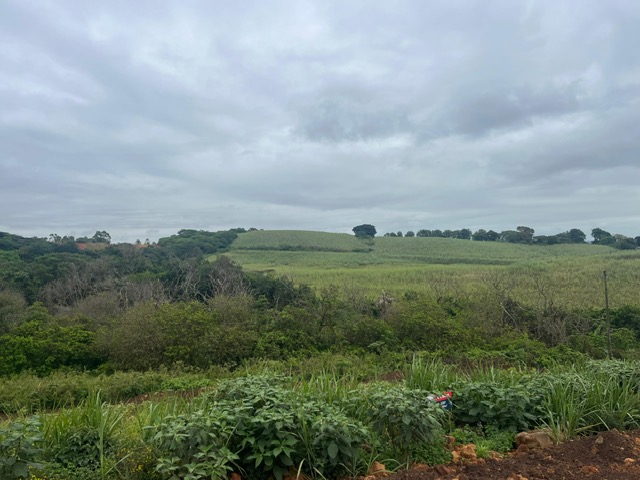 0 Bedroom Property for Sale in Seaton Estate KwaZulu-Natal