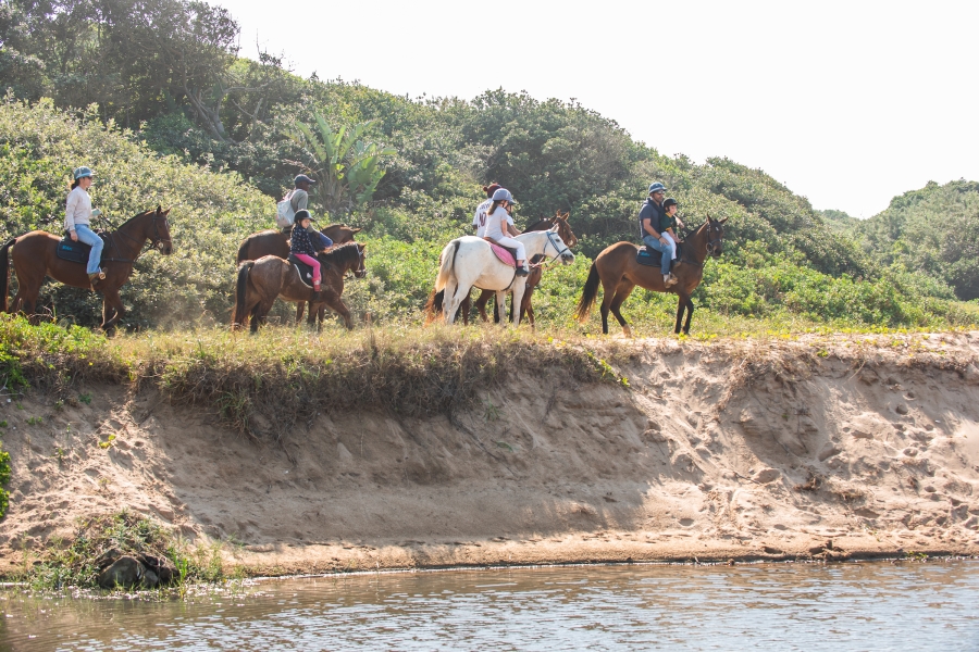 0 Bedroom Property for Sale in Seaton Estate KwaZulu-Natal