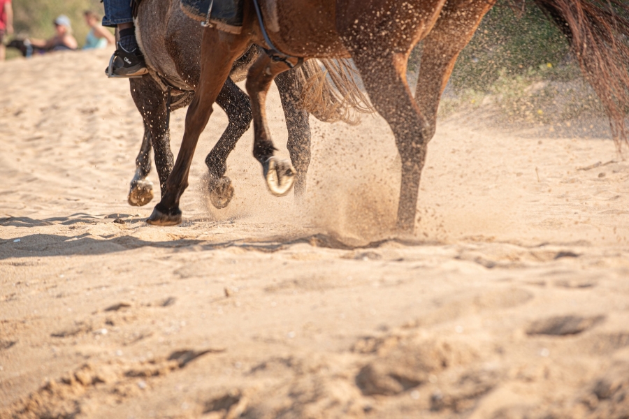 0 Bedroom Property for Sale in Seaton Estate KwaZulu-Natal