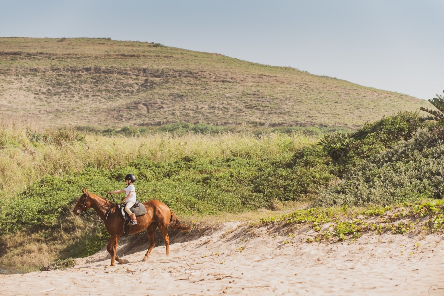 0 Bedroom Property for Sale in Seaton Estate KwaZulu-Natal