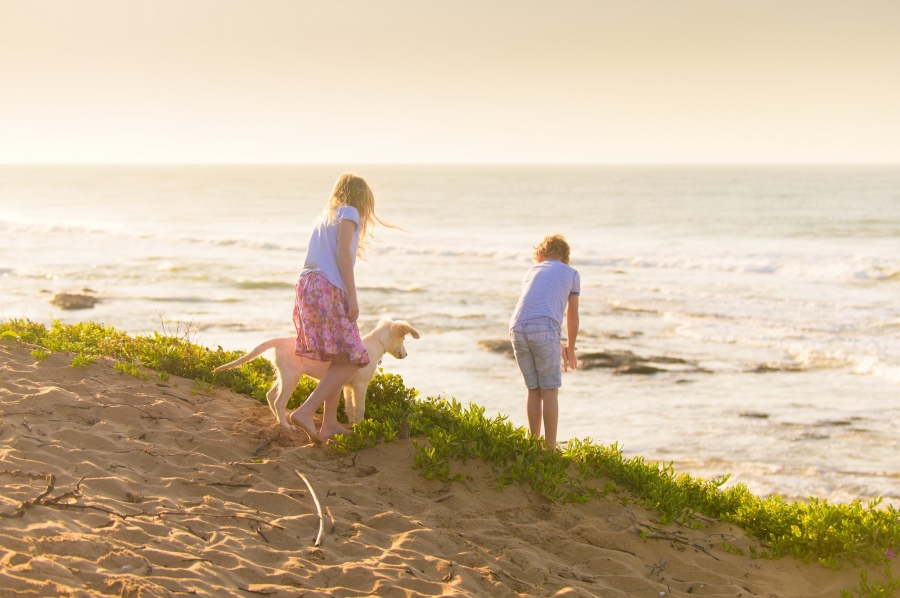 0 Bedroom Property for Sale in Seaton Estate KwaZulu-Natal