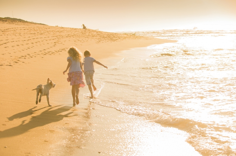 0 Bedroom Property for Sale in Seaton Estate KwaZulu-Natal