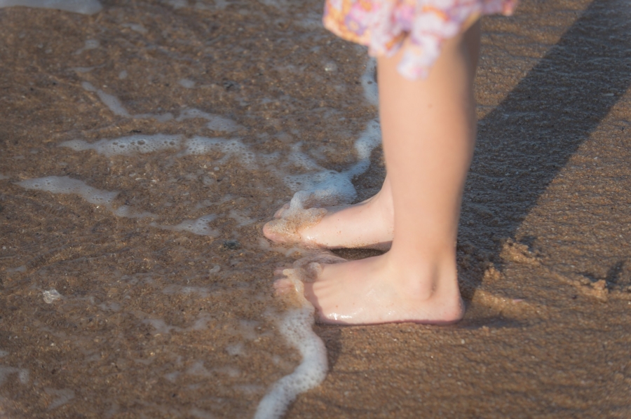 0 Bedroom Property for Sale in Seaton Estate KwaZulu-Natal