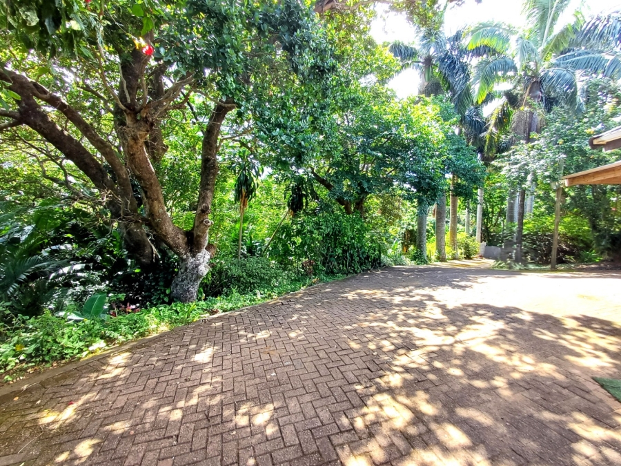 To Let 4 Bedroom Property for Rent in Ramsgate KwaZulu-Natal