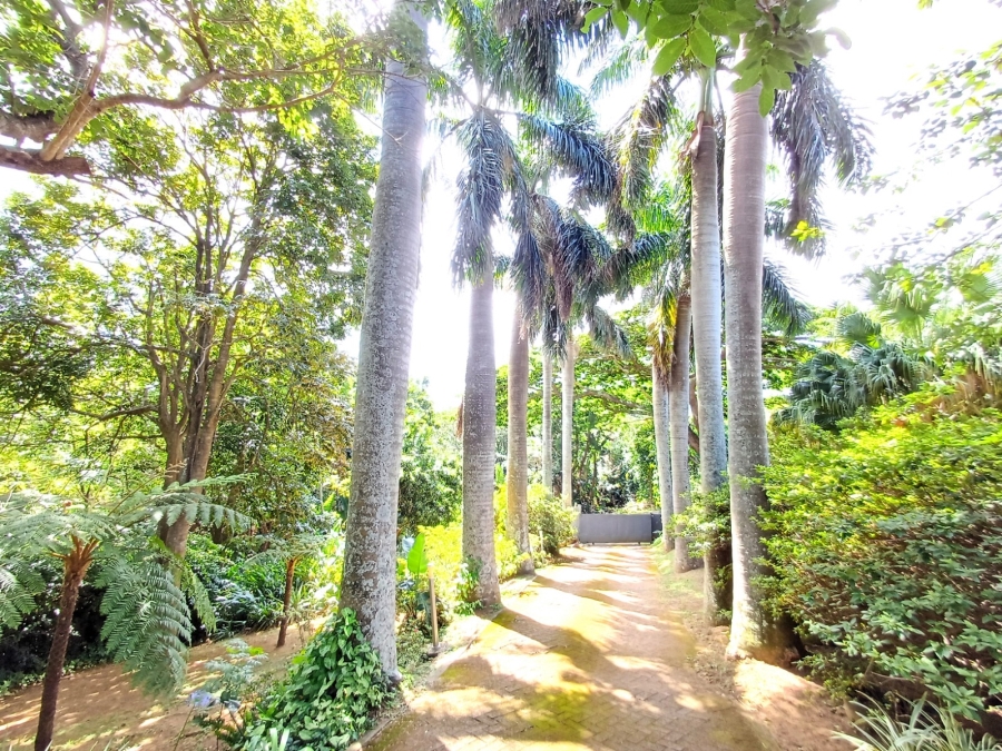 To Let 4 Bedroom Property for Rent in Ramsgate KwaZulu-Natal