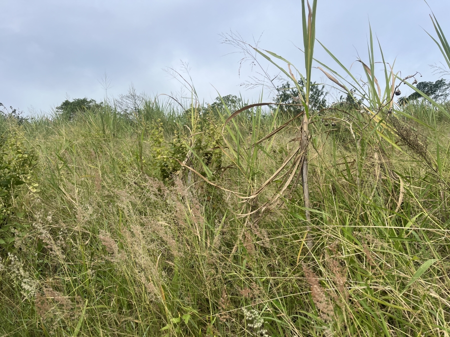 0 Bedroom Property for Sale in Seaton Estate KwaZulu-Natal