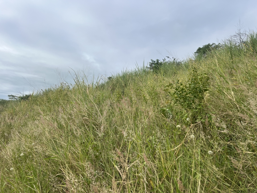 0 Bedroom Property for Sale in Seaton Estate KwaZulu-Natal