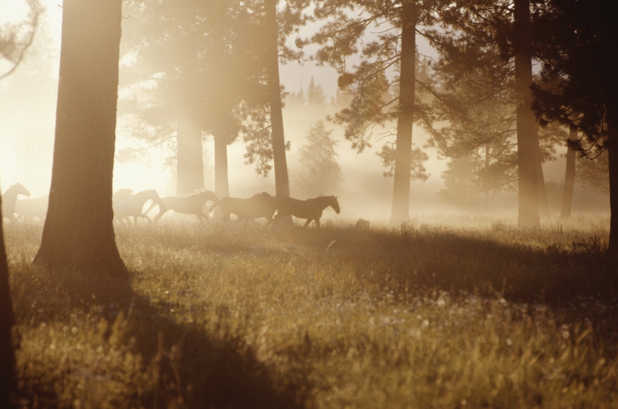 0 Bedroom Property for Sale in Seaton Estate KwaZulu-Natal