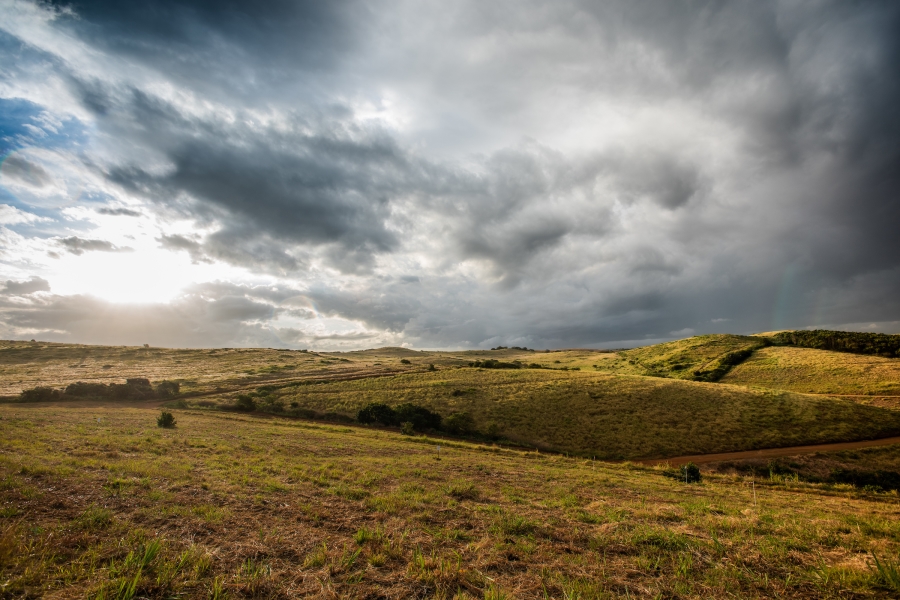 0 Bedroom Property for Sale in Seaton Estate KwaZulu-Natal