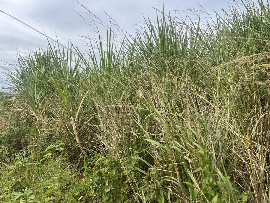 0 Bedroom Property for Sale in Seaton Estate KwaZulu-Natal