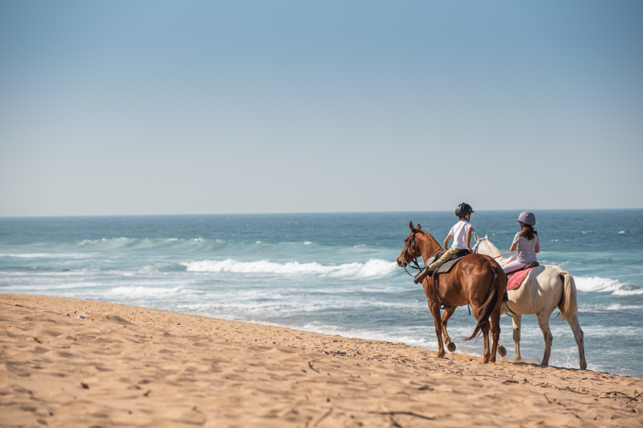 0 Bedroom Property for Sale in Seaton Estate KwaZulu-Natal