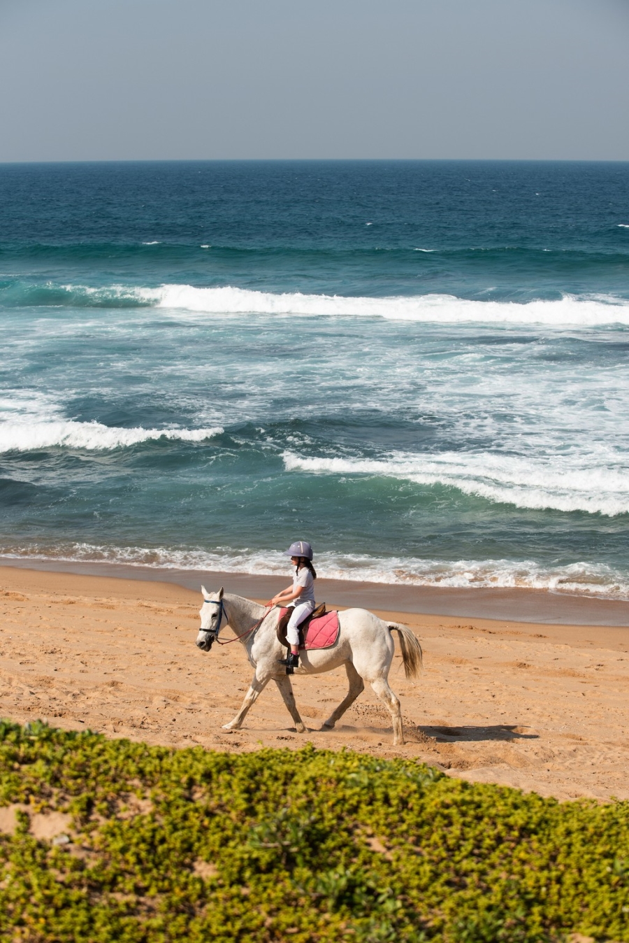 0 Bedroom Property for Sale in Seaton Estate KwaZulu-Natal