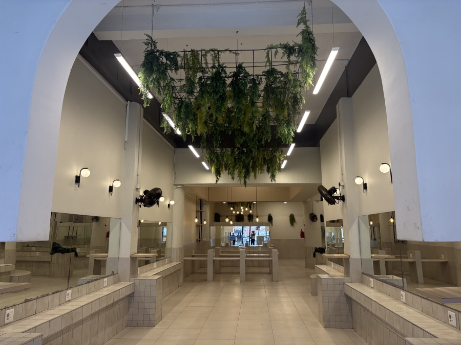 To Let Commercial Property for Rent in Durban Central KwaZulu-Natal