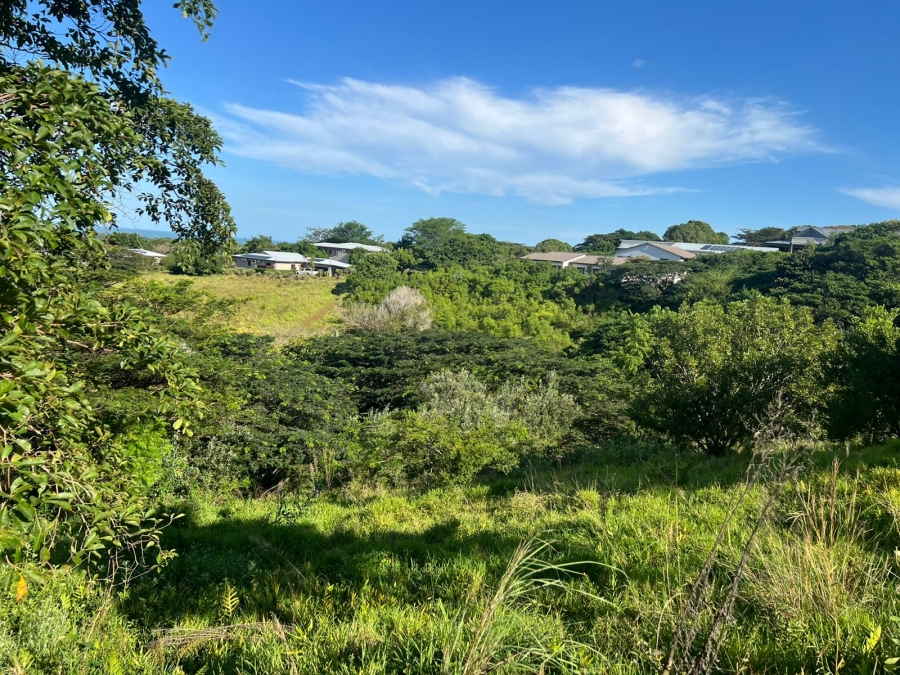 0 Bedroom Property for Sale in Zini River Estate KwaZulu-Natal