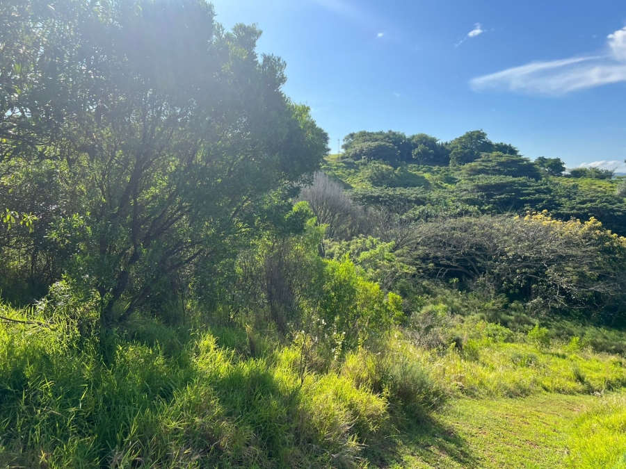 0 Bedroom Property for Sale in Zini River Estate KwaZulu-Natal