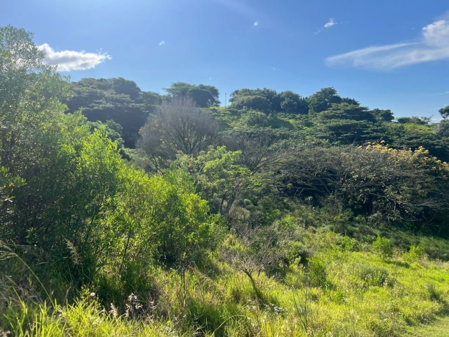 0 Bedroom Property for Sale in Zini River Estate KwaZulu-Natal