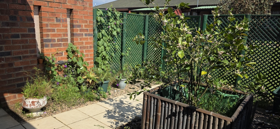 1 Bedroom Property for Sale in Amber Valley KwaZulu-Natal