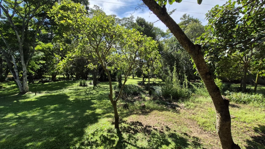 20 Bedroom Property for Sale in Eston KwaZulu-Natal