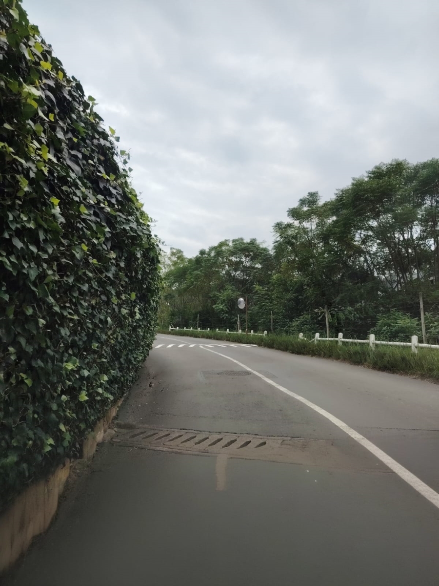 To Let 1 Bedroom Property for Rent in Chase Valley KwaZulu-Natal