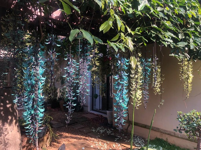 4 Bedroom Property for Sale in Ballito Gardens Estate KwaZulu-Natal
