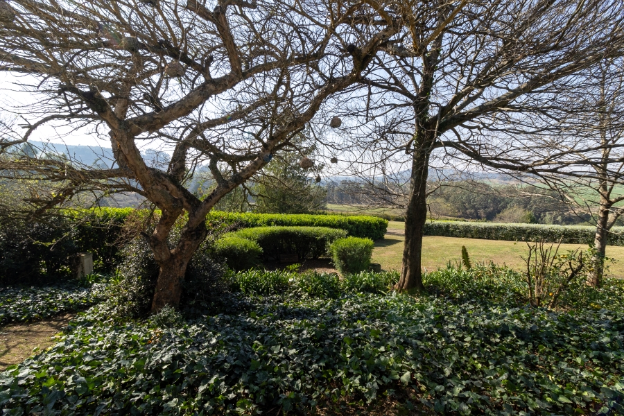 To Let 3 Bedroom Property for Rent in Dargle KwaZulu-Natal