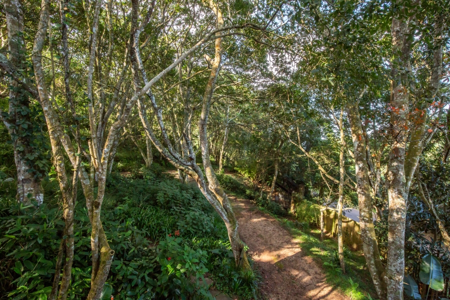 4 Bedroom Property for Sale in Everton KwaZulu-Natal