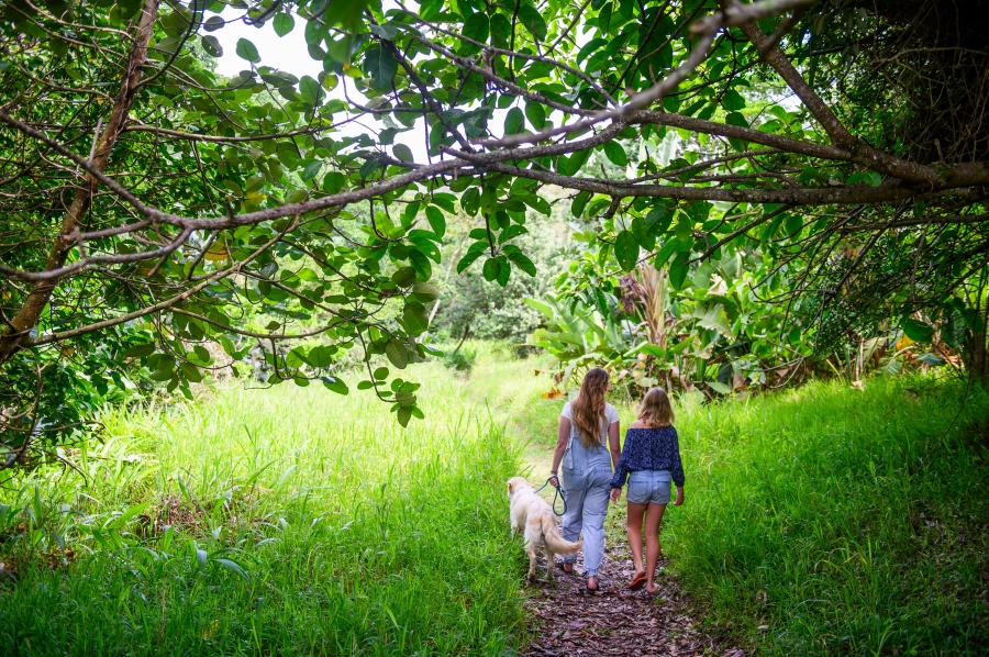 0 Bedroom Property for Sale in New Salt Rock City KwaZulu-Natal