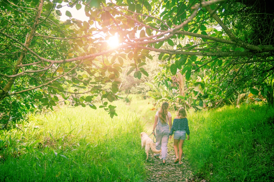 0 Bedroom Property for Sale in New Salt Rock City KwaZulu-Natal