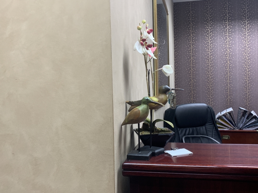 To Let Commercial Property for Rent in La Lucia Ridge KwaZulu-Natal