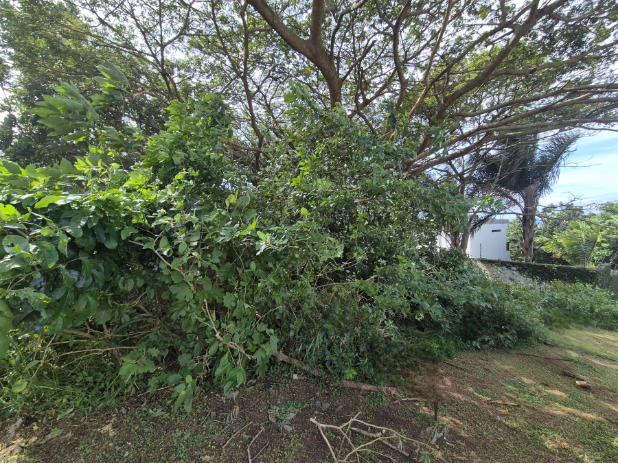 0 Bedroom Property for Sale in Salt Rock KwaZulu-Natal