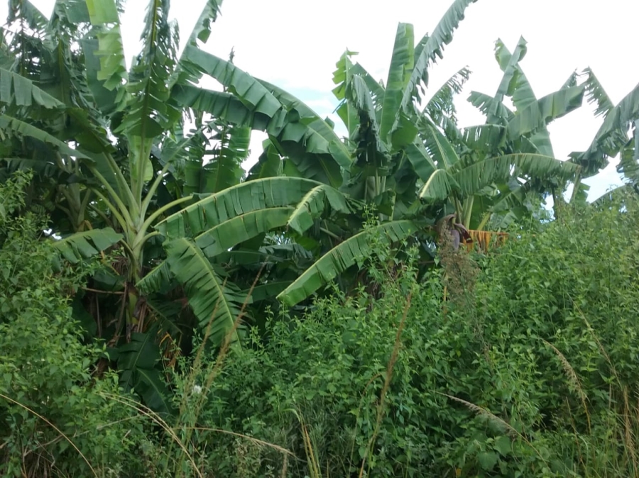 0 Bedroom Property for Sale in Emona KwaZulu-Natal