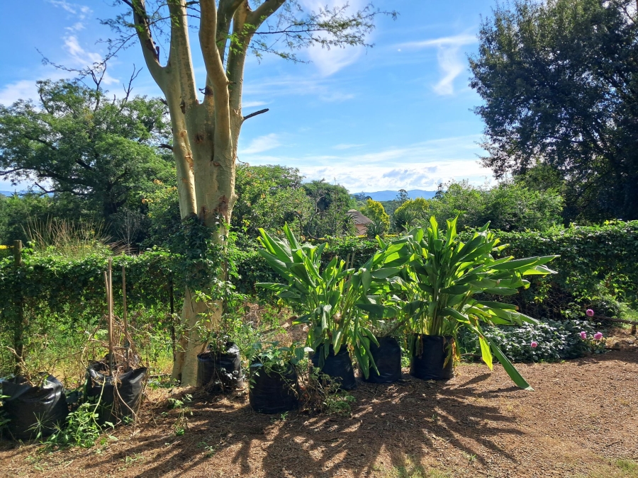 4 Bedroom Property for Sale in Albert Falls KwaZulu-Natal