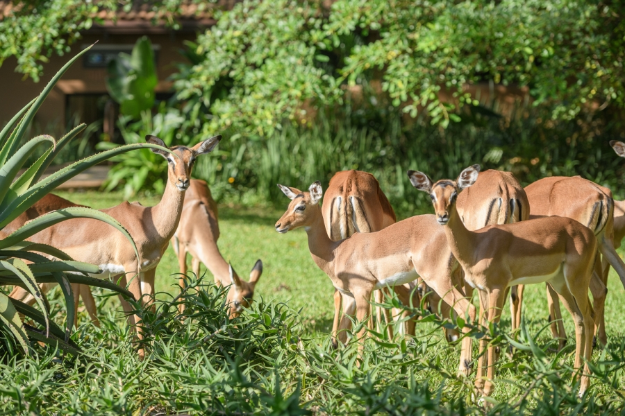 4 Bedroom Property for Sale in San Lameer KwaZulu-Natal