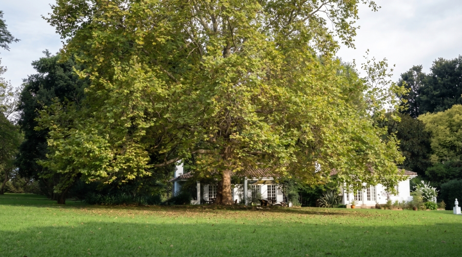 3 Bedroom Property for Sale in Hilton Rural KwaZulu-Natal