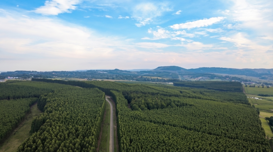 3 Bedroom Property for Sale in Hilton Rural KwaZulu-Natal