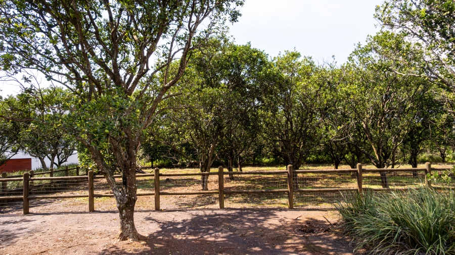 0 Bedroom Property for Sale in Albert Falls KwaZulu-Natal