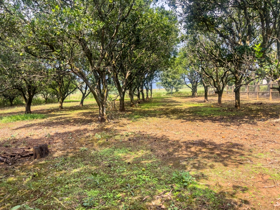 0 Bedroom Property for Sale in Albert Falls KwaZulu-Natal