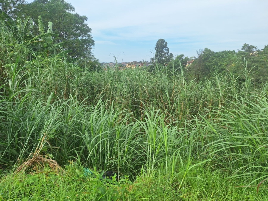 0 Bedroom Property for Sale in Belfort Estate KwaZulu-Natal