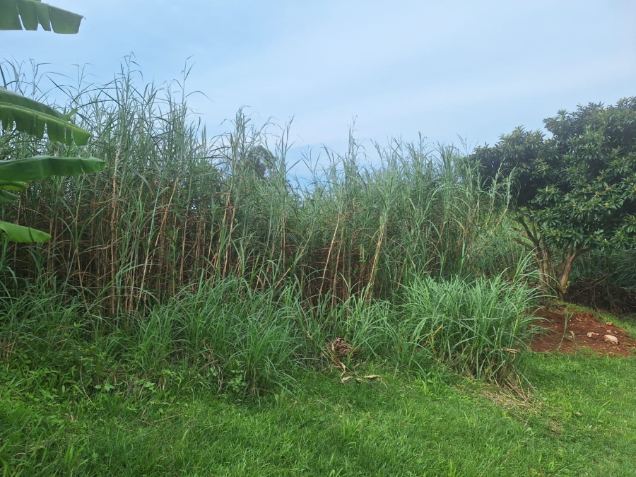 0 Bedroom Property for Sale in Belfort Estate KwaZulu-Natal