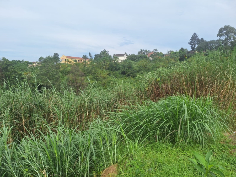 0 Bedroom Property for Sale in Belfort Estate KwaZulu-Natal